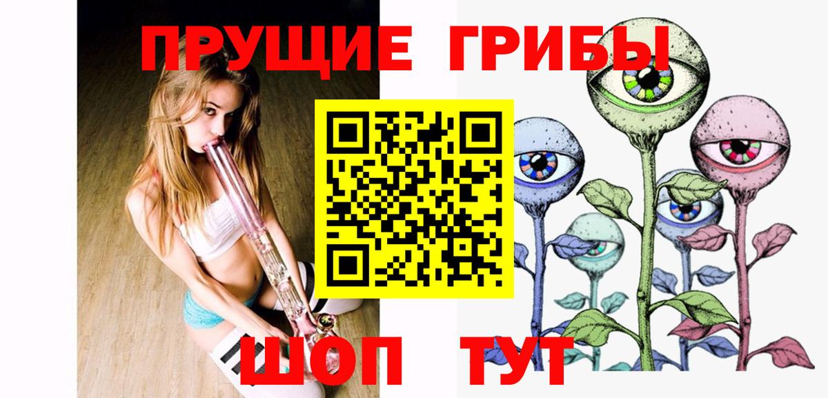 Псилоцибиновые грибы Psilocybe Сердобск