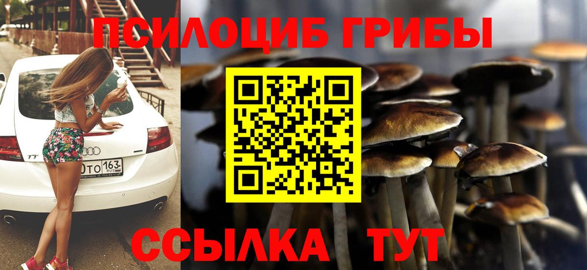 Сердобск  Псилоцибиновые грибы Magic Shrooms  где можно купить   Вход с VPN 